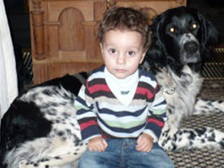 A Large Munsterlander puppy with a small child.
