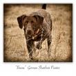 images/photos/gsp-boone.jpg